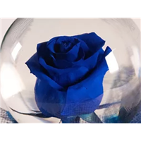 Deep_blue