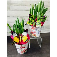 SP24-432-BP-6tulip