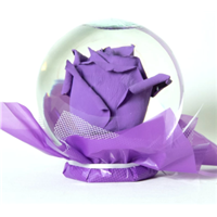 purpler_ose_globe